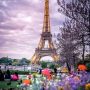 From KlickPin CF banshy _ Paris pictures Beautiful paris Eiffel tower